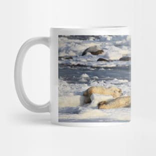 Polar Bear Mother & Cub Grooming Enthusiastically Mug